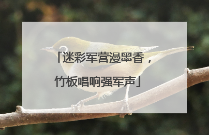 迷彩军营漫墨香，竹板唱响强军声