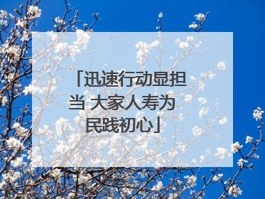 迅速行动显担当 大家人寿为民践初心