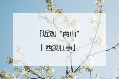 近观“两山”丨西溪往事