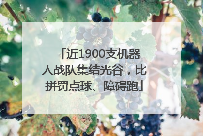 近1900支机器人战队集结光谷，比拼罚点球、障碍跑