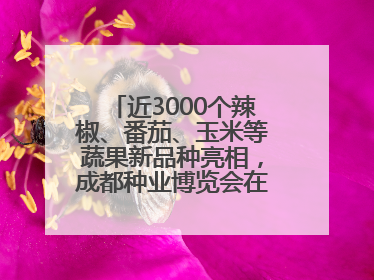 近3000个辣椒、番茄、玉米等蔬果新品种亮相，成都种业博览会在蓉开幕