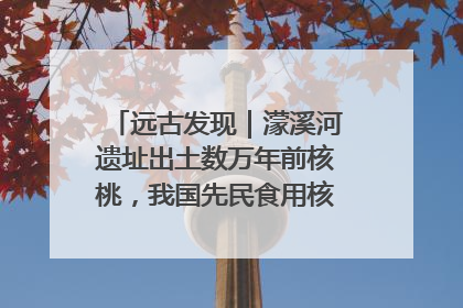 远古发现｜濛溪河遗址出土数万年前核桃，我国先民食用核桃历史大幅提前
