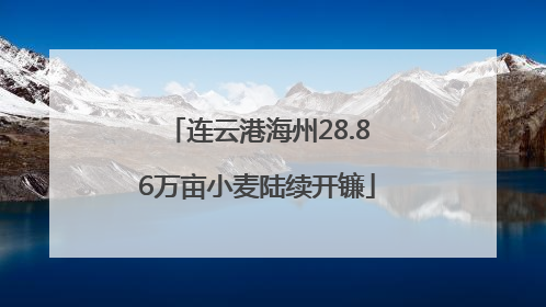 连云港海州28.86万亩小麦陆续开镰