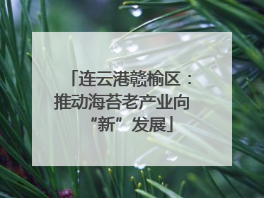 连云港赣榆区：推动海苔老产业向“新”发展