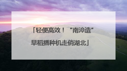 轻便高效！“南漳造”旱稻播种机走俏湖北