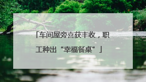 车间屋旁喜获丰收，职工种出“幸福餐桌”