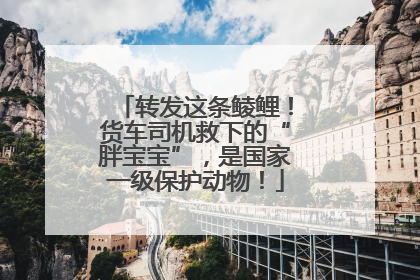 转发这条鲮鲤！货车司机救下的“胖宝宝”，是国家一级保护动物！