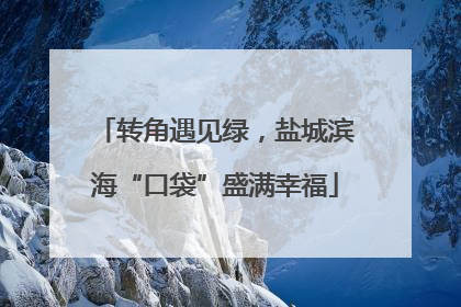 转角遇见绿，盐城滨海“口袋”盛满幸福