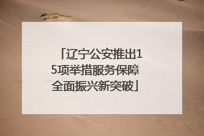 辽宁公安推出15项举措服务保障全面振兴新突破