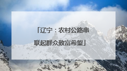 辽宁：农村公路串联起群众致富希望