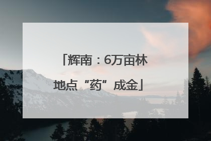 辉南：6万亩林地点“药”成金