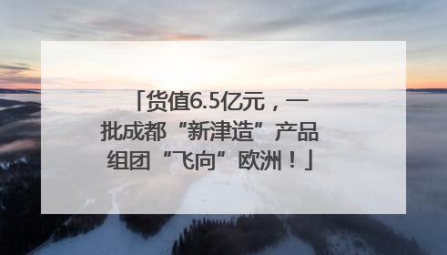货值6.5亿元，一批成都“新津造”产品组团“飞向”欧洲！