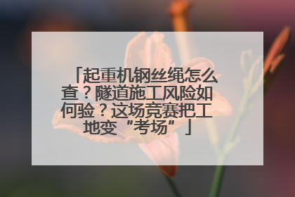 起重机钢丝绳怎么查？隧道施工风险如何验？这场竞赛把工地变“考场”