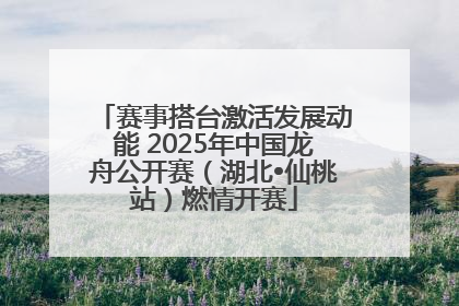赛事搭台激活发展动能 2025年中国龙舟公开赛（湖北•仙桃站）燃情开赛