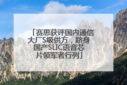 赛思获评国内通信大厂S级供方，跻身国产SLIC语音芯片领军者行列