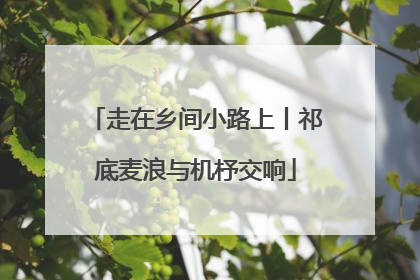 走在乡间小路上丨祁底麦浪与机杼交响