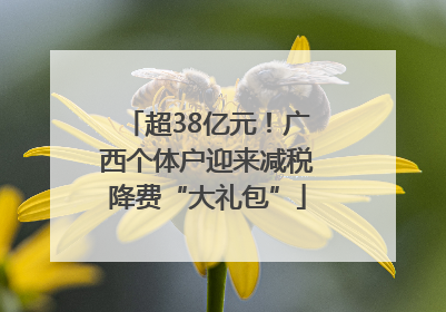 超38亿元！广西个体户迎来减税降费“大礼包”
