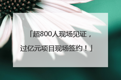 超800人现场见证，过亿元项目现场签约！