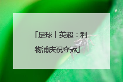 足球丨英超：利物浦庆祝夺冠