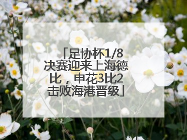 足协杯1/8决赛迎来上海德比，申花3比2击败海港晋级
