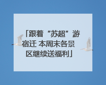 跟着“苏超”游宿迁 本周末各景区继续送福利