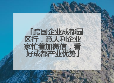 跨国企业成都园区行，意大利企业家忙着加微信，看好成都产业优势