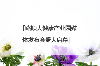 路顺大健康产业园媒体发布会盛大启幕