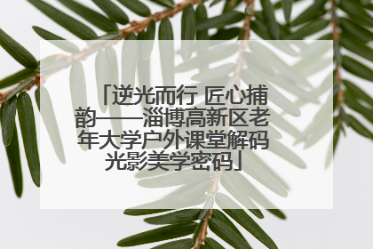 逆光而行 匠心捕韵——淄博高新区老年大学户外课堂解码光影美学密码