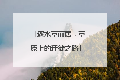 逐水草而居：草原上的迁徙之路