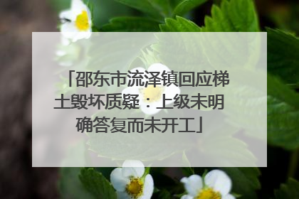 邵东市流泽镇回应梯土毁坏质疑：上级未明确答复而未开工