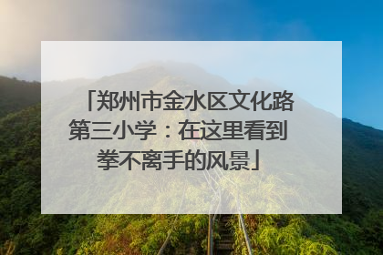 郑州市金水区文化路第三小学：在这里看到拳不离手的风景