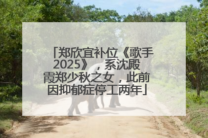 郑欣宜补位《歌手2025》，系沈殿霞郑少秋之女，此前因抑郁症停工两年