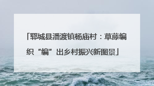 郓城县潘渡镇杨庙村：草藤编织“编”出乡村振兴新图景
