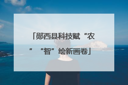 郧西县科技赋“农”“智”绘新画卷