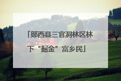 郧西县三官洞林区林下“掘金”富乡民
