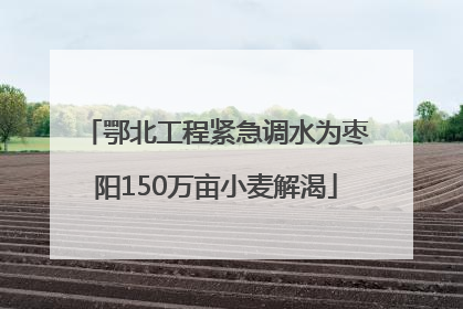 鄂北工程紧急调水为枣阳150万亩小麦解渴