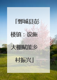 鄄城县彭楼镇：设施大棚赋能乡村振兴