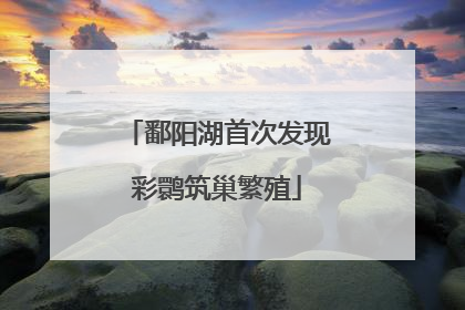 鄱阳湖首次发现彩鹮筑巢繁殖