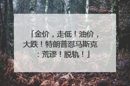 金价，走低！油价，大跌！特朗普怼马斯克：荒谬！脱轨！