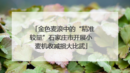 金色麦浪中的“精准较量”石家庄市开展小麦机收减损大比武