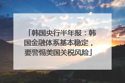 韩国央行半年报：韩国金融体系基本稳定，要警惕美国关税风险