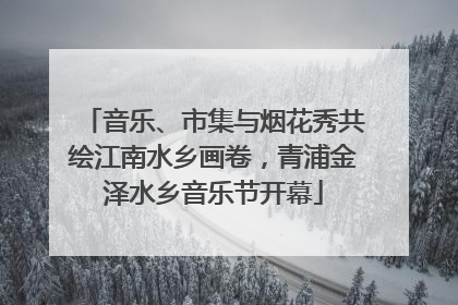 音乐、市集与烟花秀共绘江南水乡画卷，青浦金泽水乡音乐节开幕