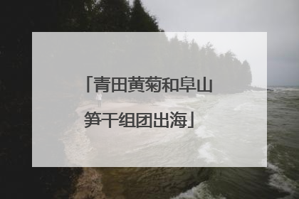 青田黄菊和阜山笋干组团出海