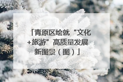 青原区绘就“文化+旅游”高质量发展新图景（图）