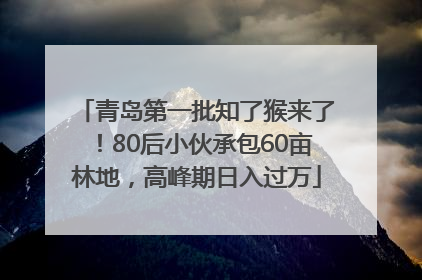 青岛第一批知了猴来了！80后小伙承包60亩林地，高峰期日入过万