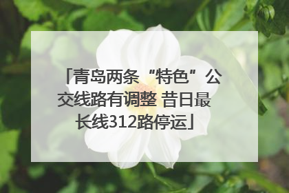 青岛两条“特色”公交线路有调整 昔日最长线312路停运
