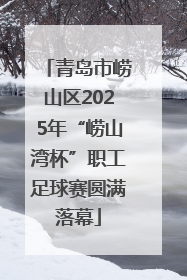 青岛市崂山区2025年“崂山湾杯”职工足球赛圆满落幕
