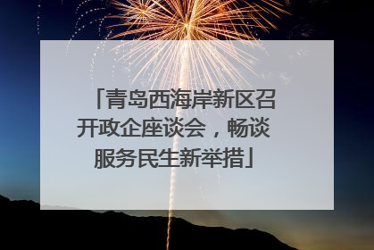 青岛西海岸新区召开政企座谈会，畅谈服务民生新举措