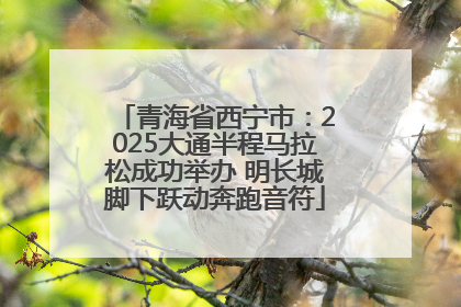 青海省西宁市：2025大通半程马拉松成功举办 明长城脚下跃动奔跑音符