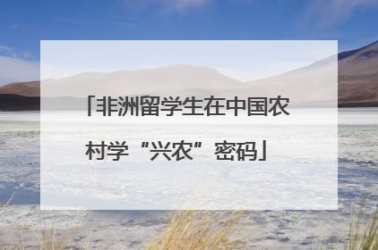 非洲留学生在中国农村学“兴农”密码